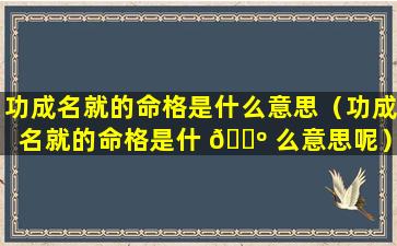 功成名就的命格是什么意思（功成名就的命格是什 🌺 么意思呢）